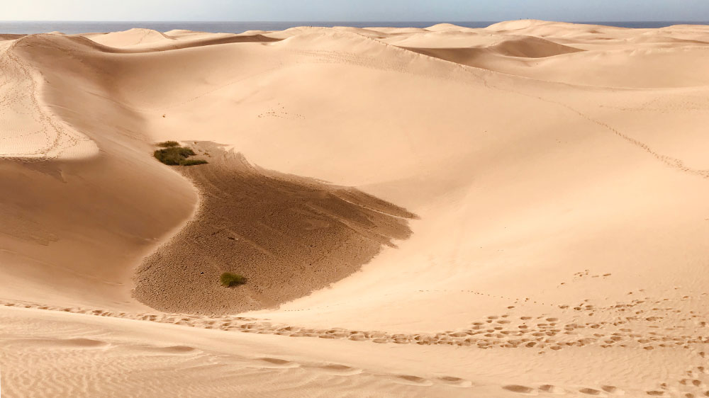 blauwasser_marina_kanaren_gran_canaria_pasito_blanco_duenen