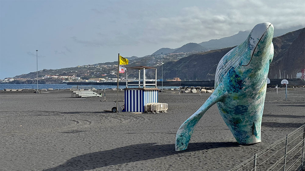 blauwasser_marina_kanaren_la_palma_santa_cruz_wal