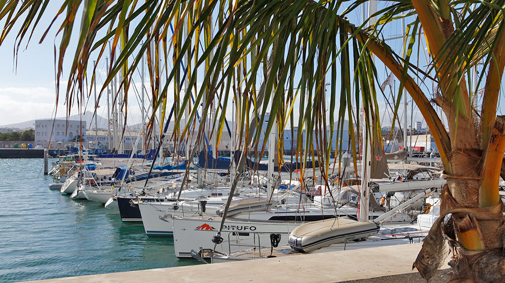 blauwasser_marina_kanaren_lanzarote_arrecife_palme