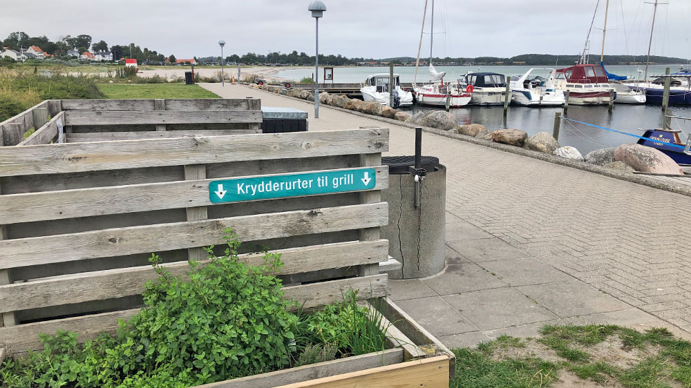 blauwasser_marina_kerteminde_kraeuter