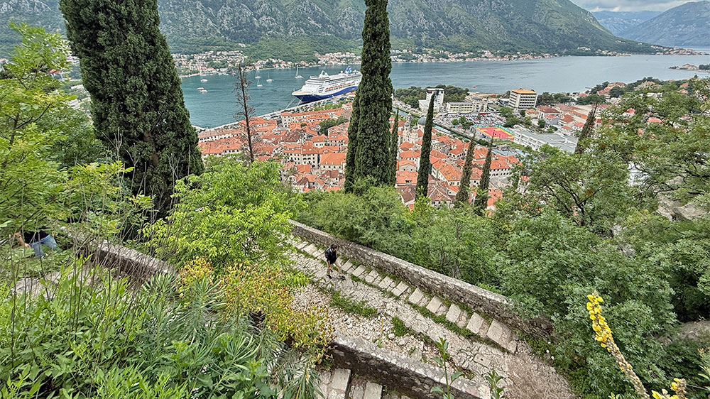 blauwasser_marina_montenegro_kotor_aufstieg
