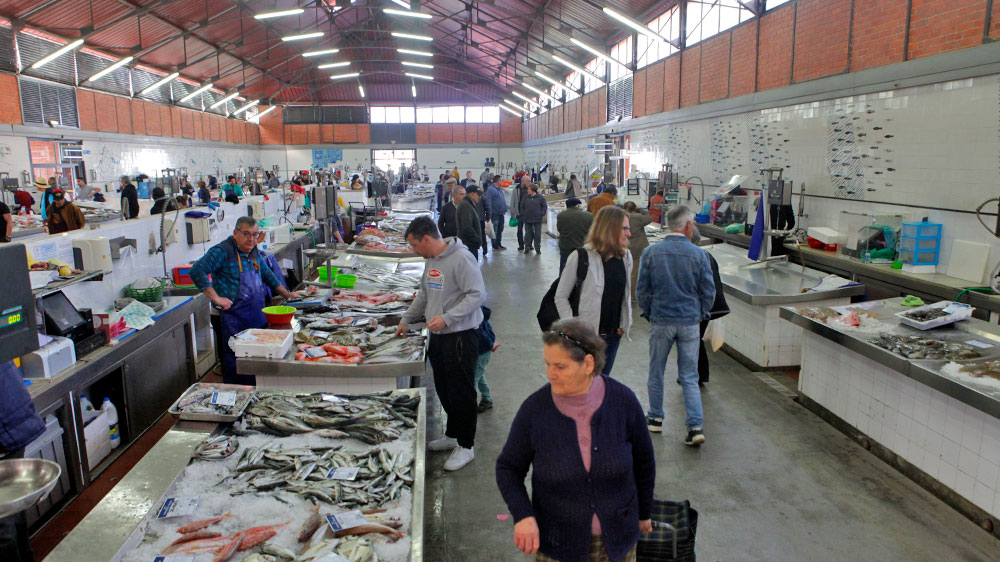blauwasser_marina_olhao_portugal_fischmarkt