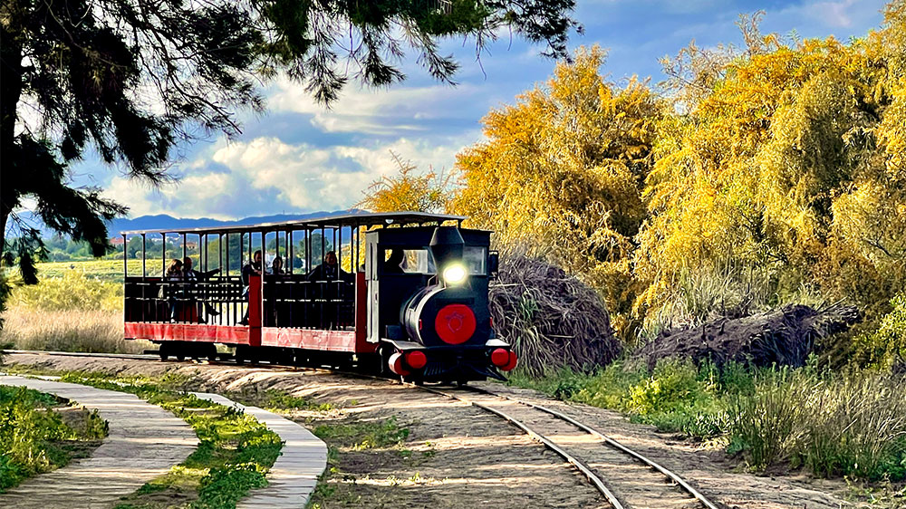 blauwasser_marina_portugal_algarve_tavira_bahn