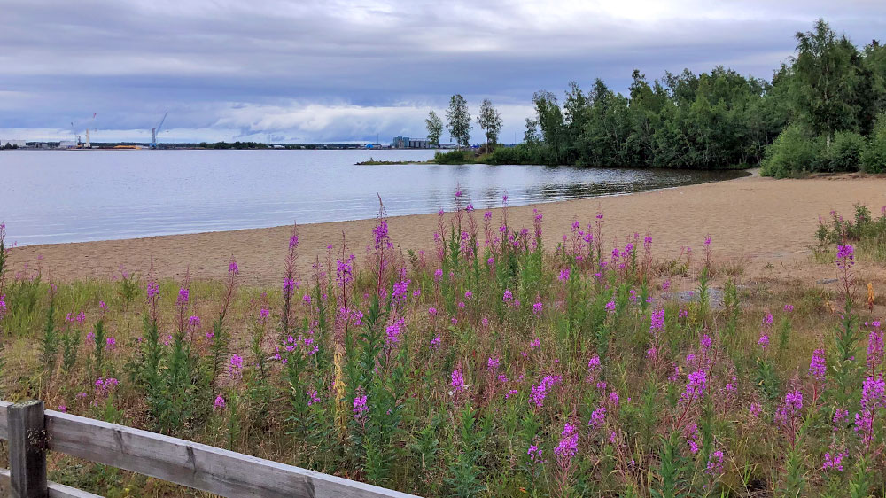 blauwasser_marina_schweden_bredvik_strand