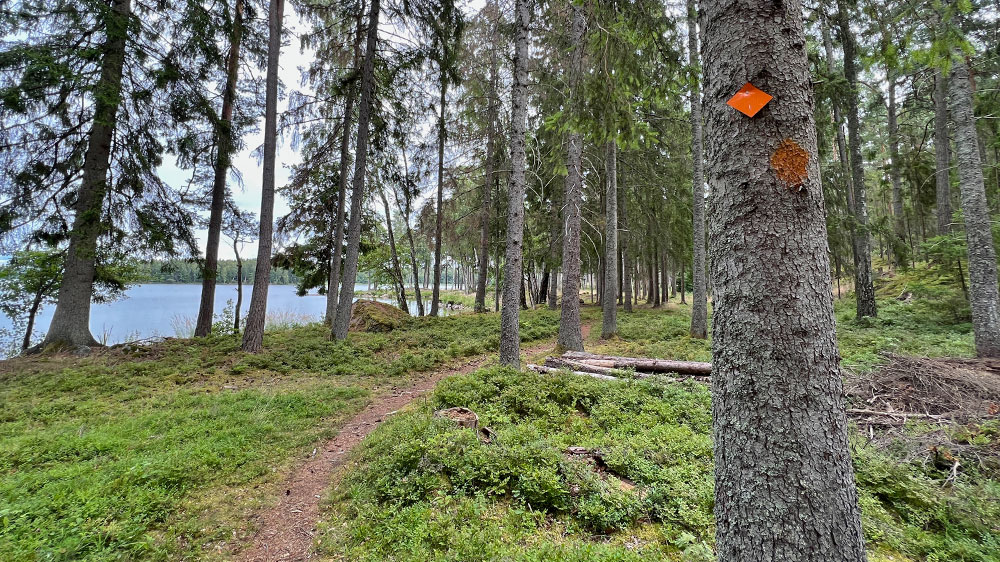 blauwasser_marina_schweden_maelaren_ringsoe_rundweg