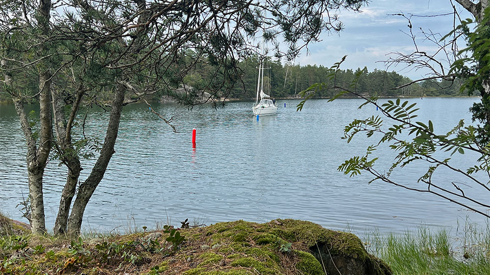 blauwasser_marina_schweden_ostkueste_stora_alo_spazieren