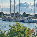 blauwasser_marina_schweden_ostschaeren_bergkvara_heckbojen