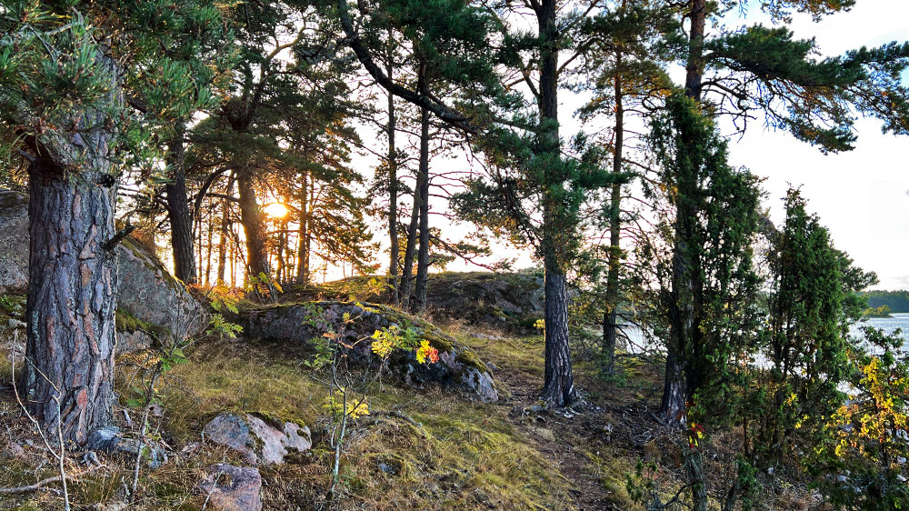 blauwasser_marina_schweden_ostschaeren_broken_spazieren