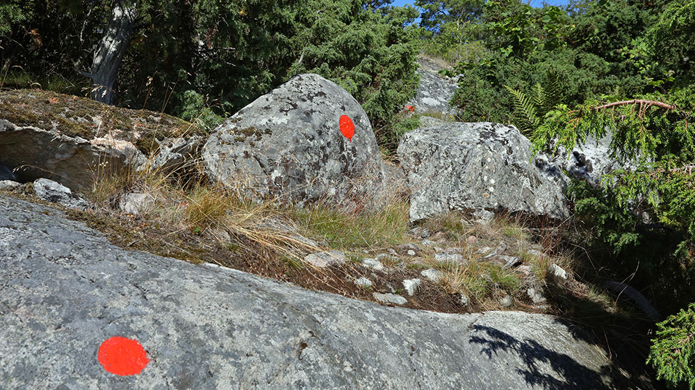 blauwasser_marina_schweden_ostschaeren_bulleroen_wanderweg