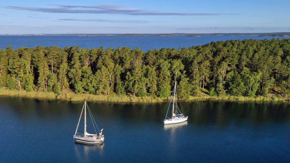 blauwasser_marina_schweden_ostschaeren_ranoehamn_schilf
