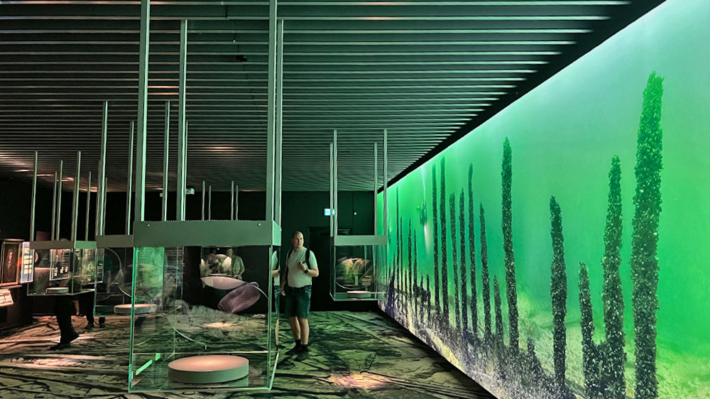 blauwasser_marina_schweden_ostschaeren_wasahamn_wrackmuseum