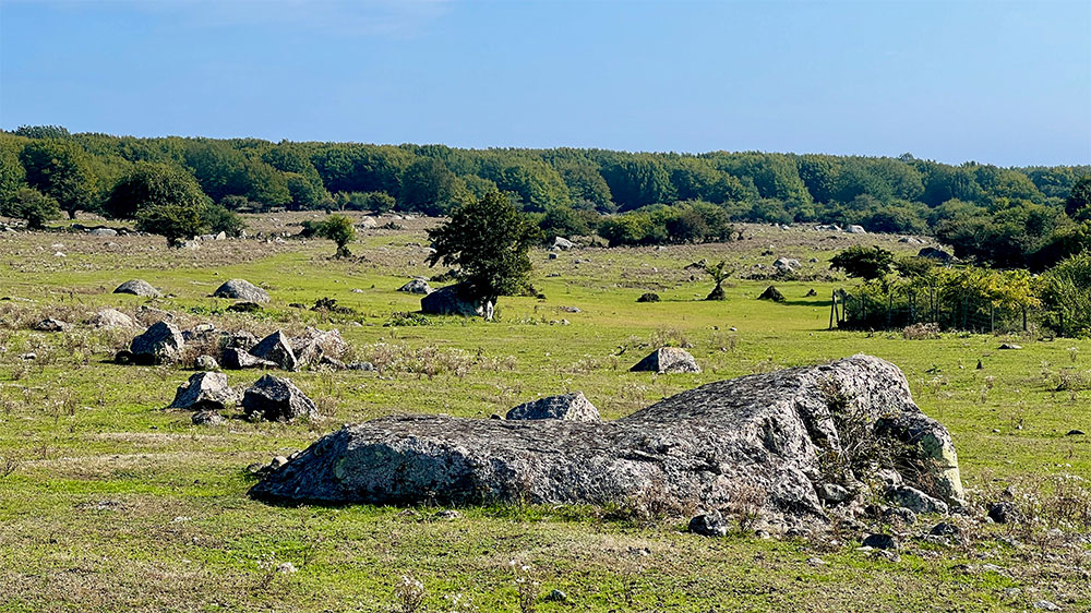 blauwasser_marina_schweden_suedkueste_hanoe_spazieren