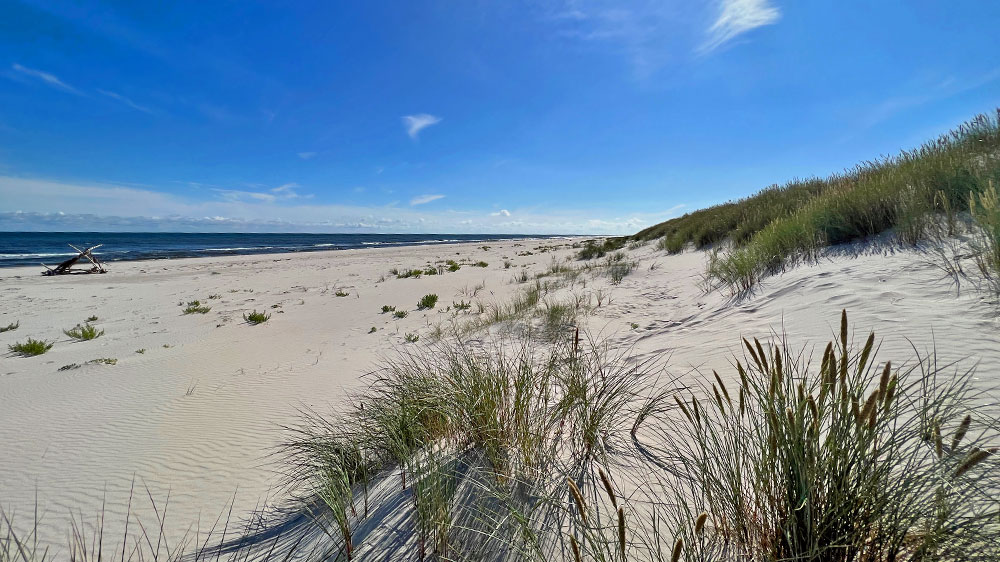 blauwasser_marina_schweden_suedkueste_simrishamn_duenen