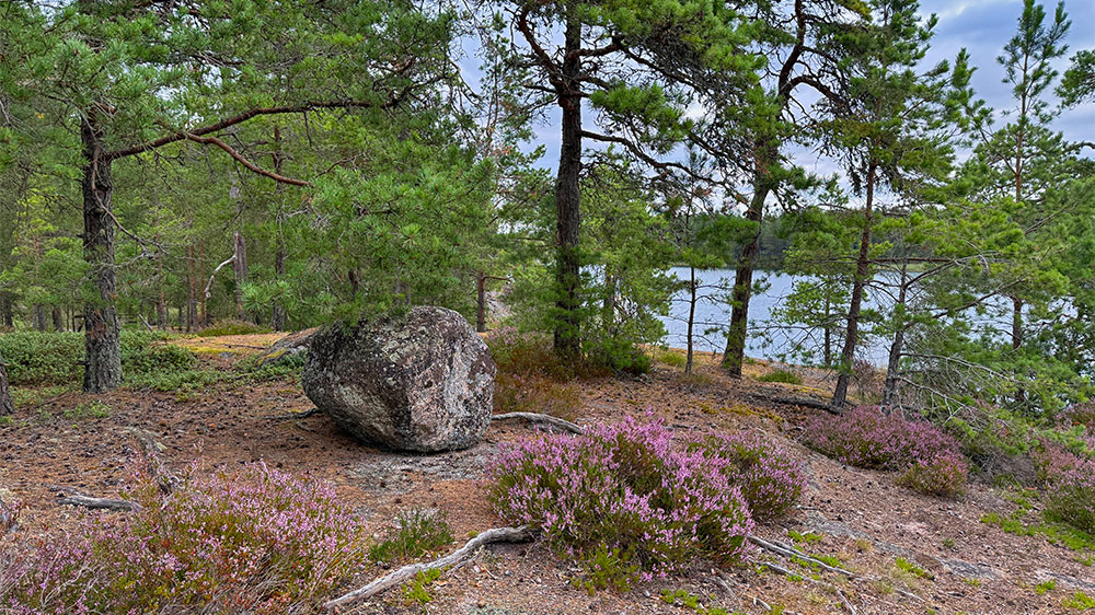 blauwasser_marina_schweden_vaettern_hjortholmarna_umgebung