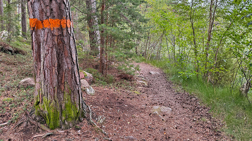 blauwasser_marina_schweden_vaettern_medevi_wanderweg