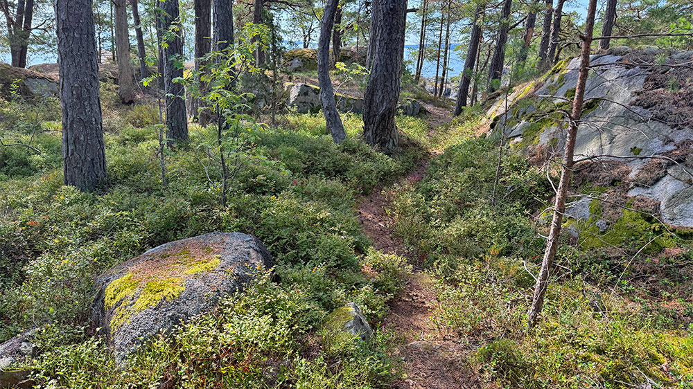 blauwasser_marina_schweden_vaettern_ombo_oear_wald
