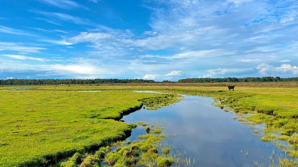blauwasser_marina_schweden_westkueste_hoellviken_erkundung
