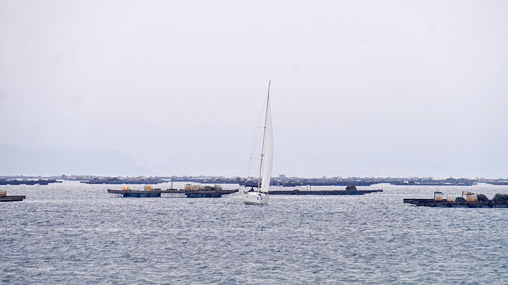 blauwasser_marina_spanien_galicien_vilanova_muschelfarmen