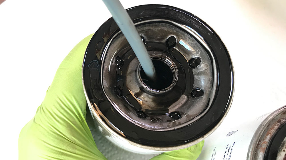 blauwasser_motor_oelwechsel_filter_leersaugen