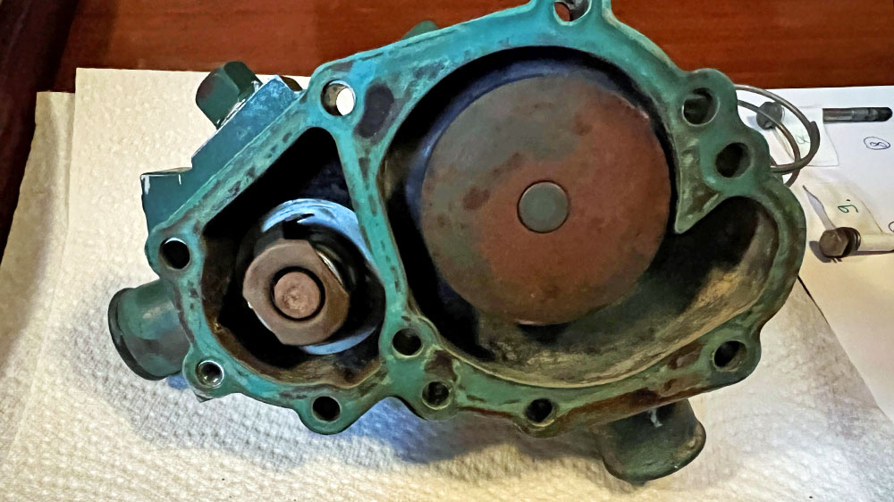 blauwasser_motor_praxistipp_thermostat_funktionstest_pumpe