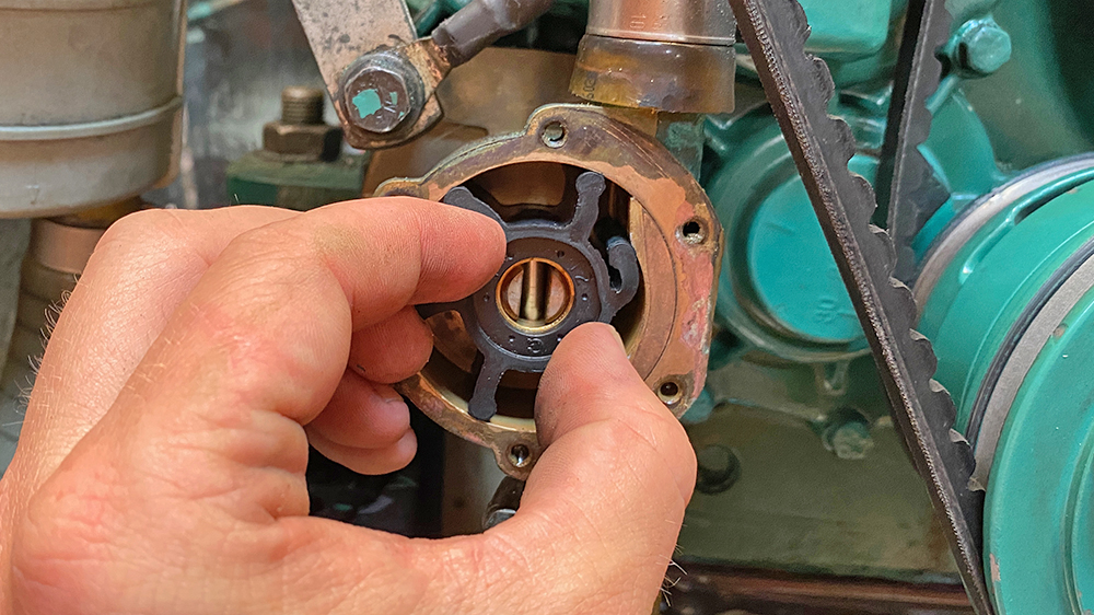 blauwasser_motor_seewasserpumpe_impellerwechsel_impeller_einbau