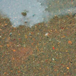 blauwasser_motor_wartung_kuehlung_einkreis_sediment