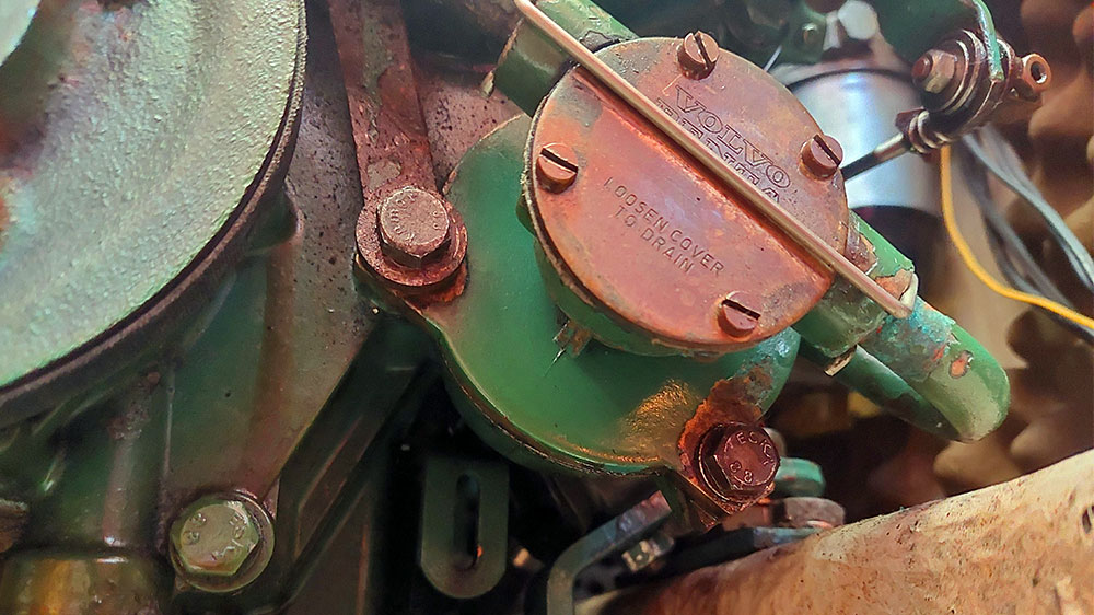 blauwasser_motor_wartung_seewasserpumpe_impellerpumpe_farbe