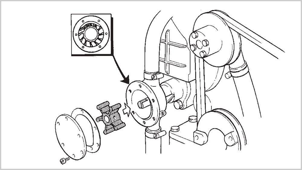 blauwasser_motor_wartung_seewasserpumpe_impellerpumpe_handbuch