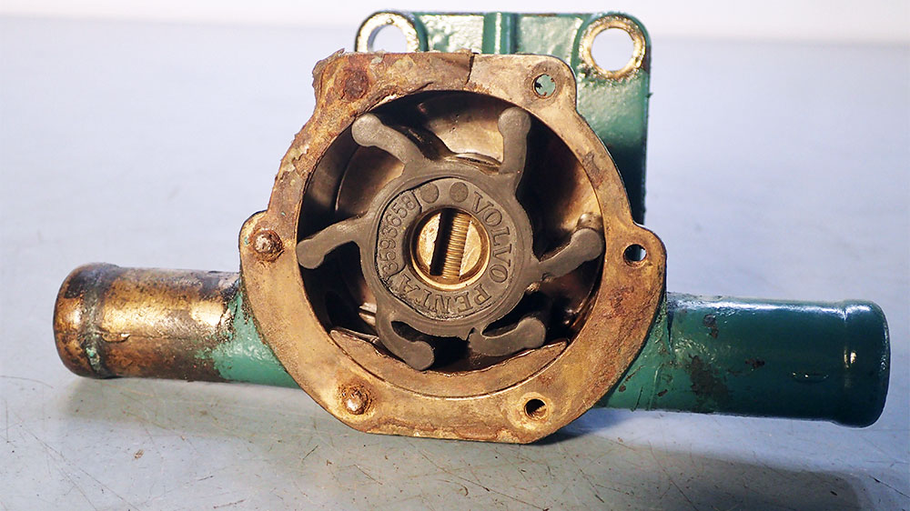 blauwasser_motor_wartung_seewasserpumpe_impellerpumpe_impellerwechsel