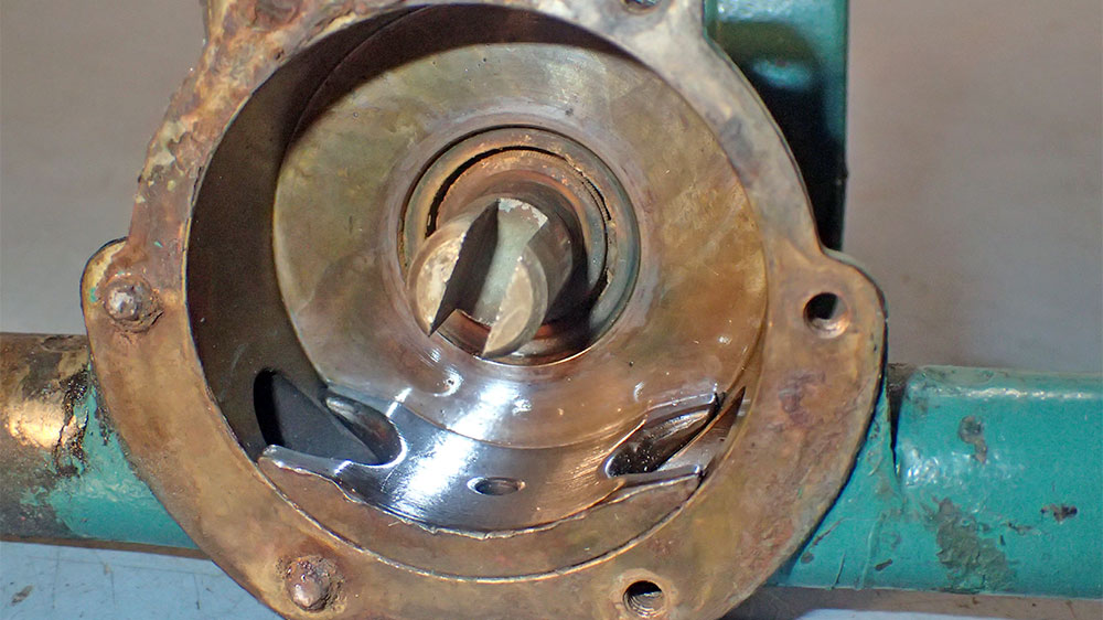 blauwasser_motor_wartung_seewasserpumpe_impellerpumpe_simmering_seewasser