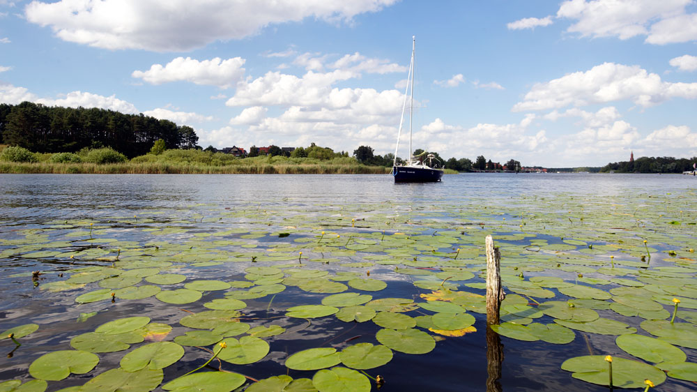 blauwasser_mueritz_malchower_see