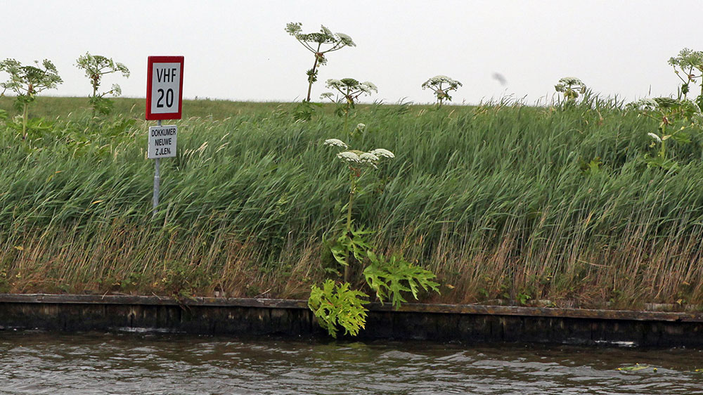 blauwasser_niederlande_friesland_stehende_mastroute_funken