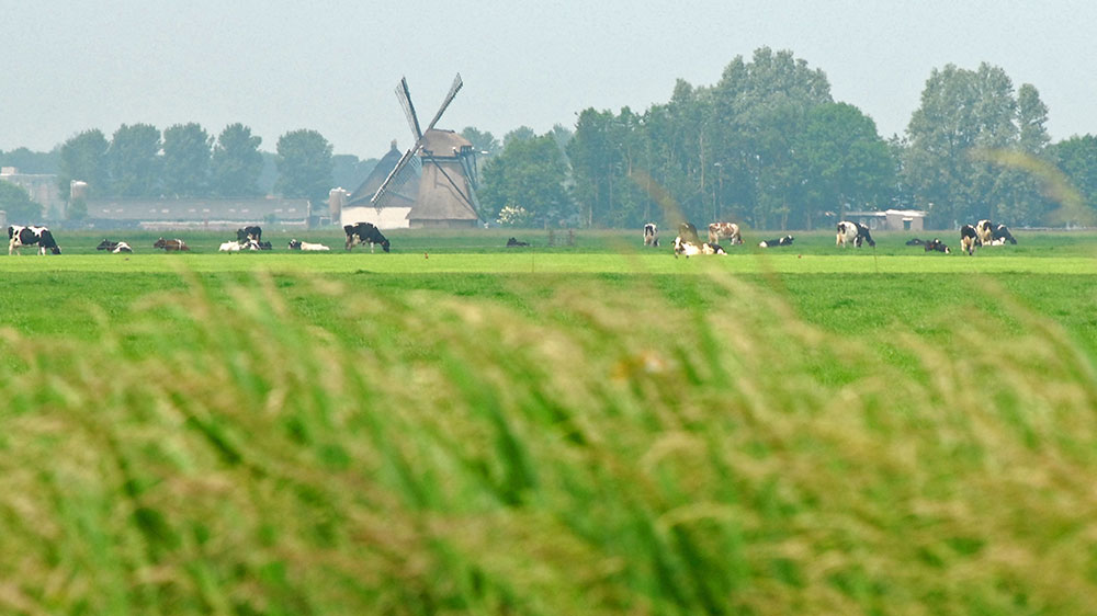 blauwasser_niederlande_friesland_stehende_mastroute_hinterland