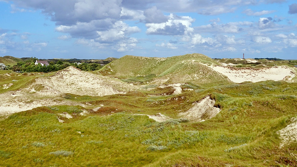 blauwasser_nordsee_ostfriesische_inseln_norderney_duenen