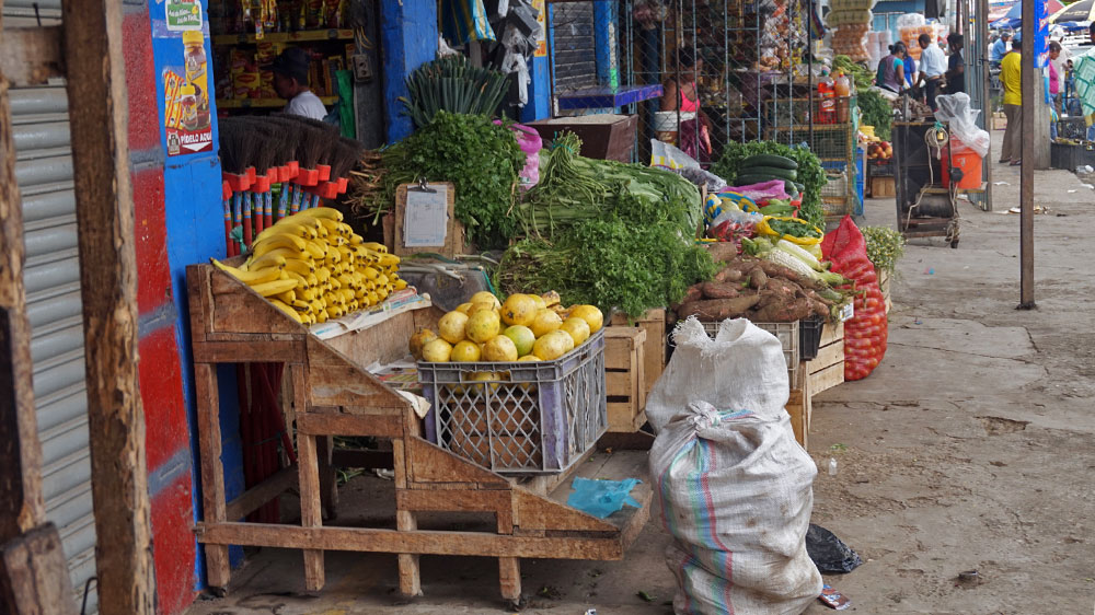 blauwasser_obst_gemuese_lagerung_ecuador