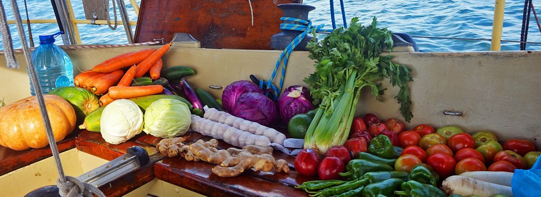 blauwasser_obst_gemuese_lagerung_header