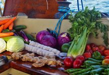 Lagerung von Obst und Gemüse auf einer Yacht