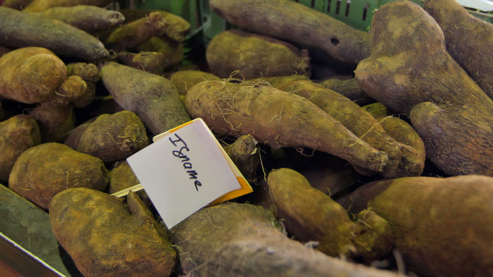blauwasser_obst_gemuese_lagerung_igname