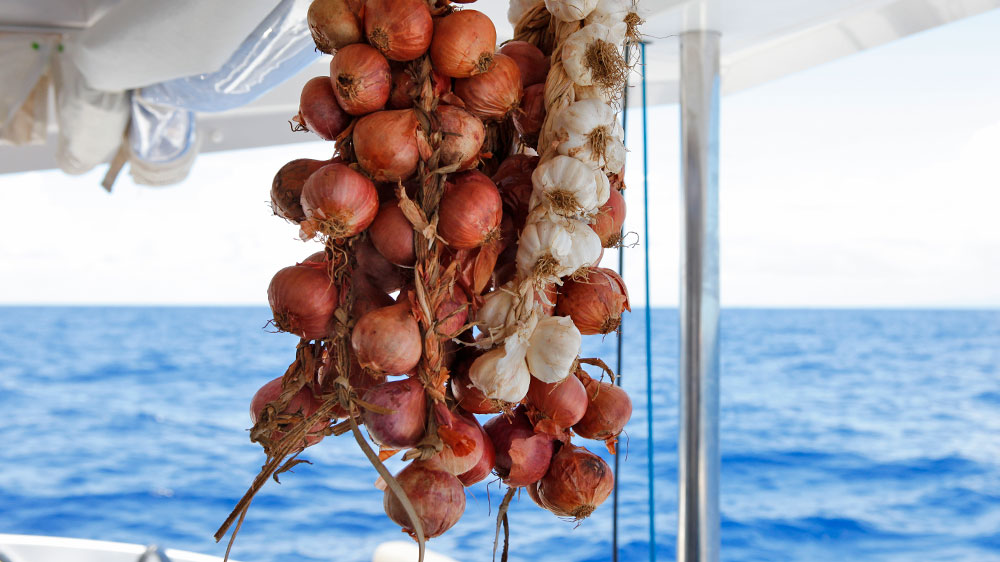 blauwasser_obst_gemuese_lagerung_knoblauch