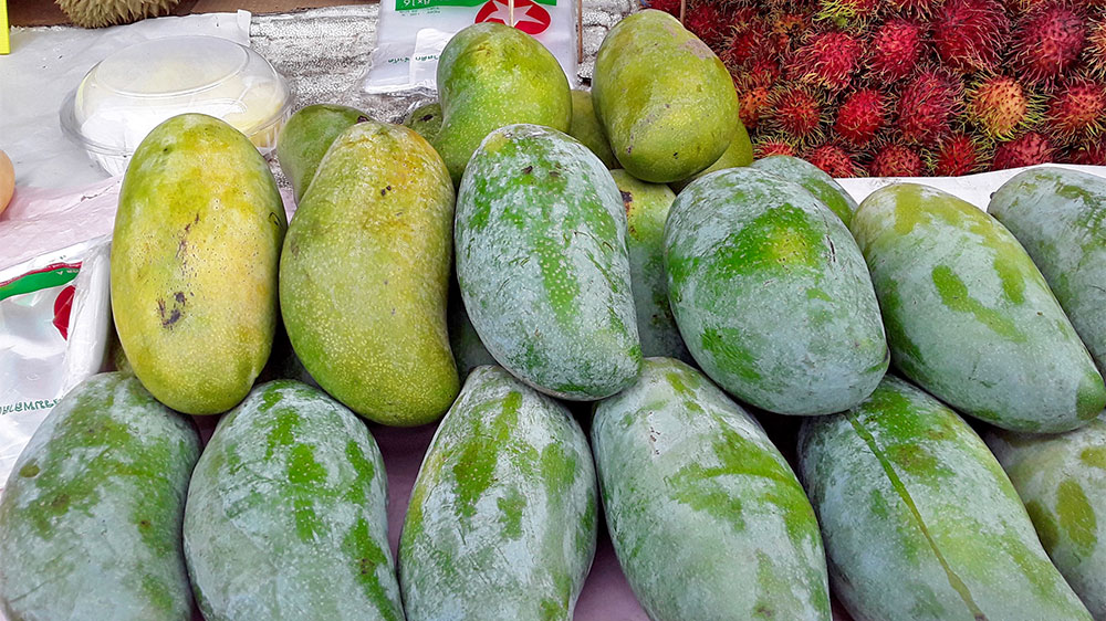 blauwasser_obst_gemuese_lagerung_mango