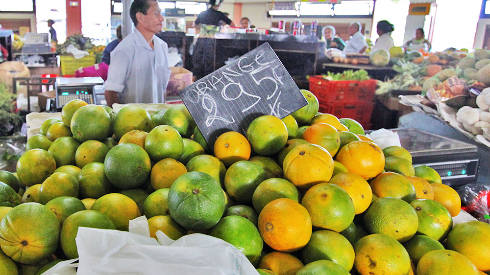 blauwasser_obst_gemuese_lagerung_orangen
