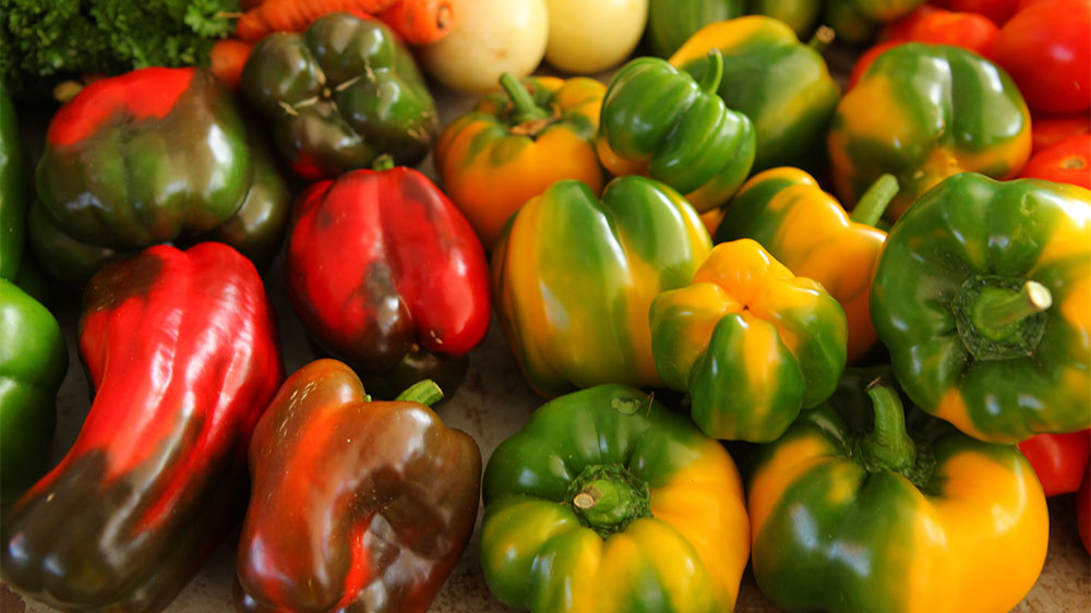 blauwasser_obst_gemuese_lagerung_paprika
