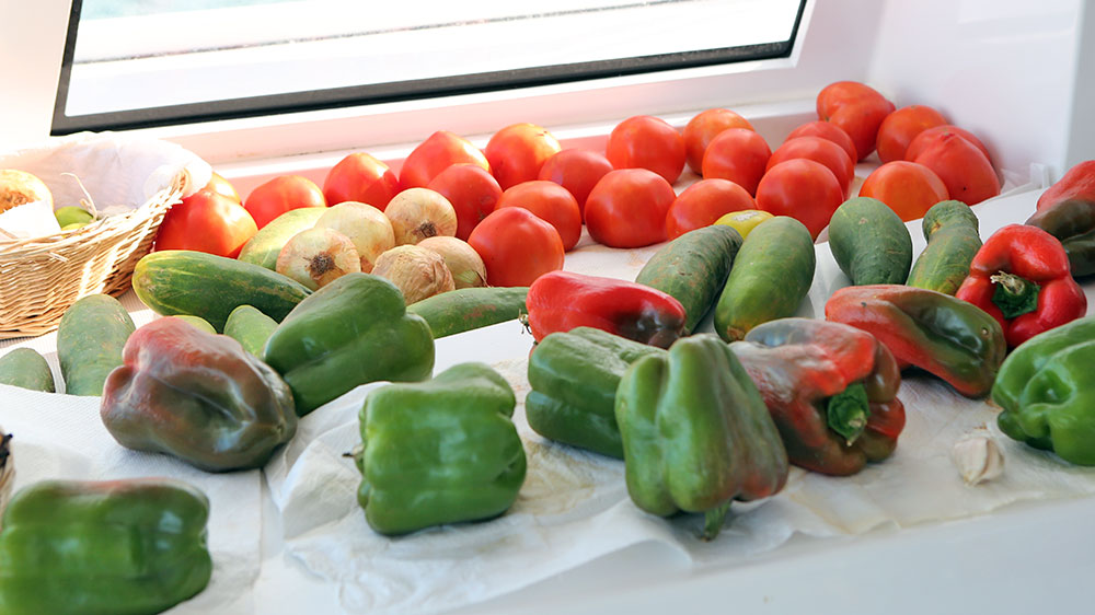 blauwasser_obst_gemuese_lagerung_tomate_paprika