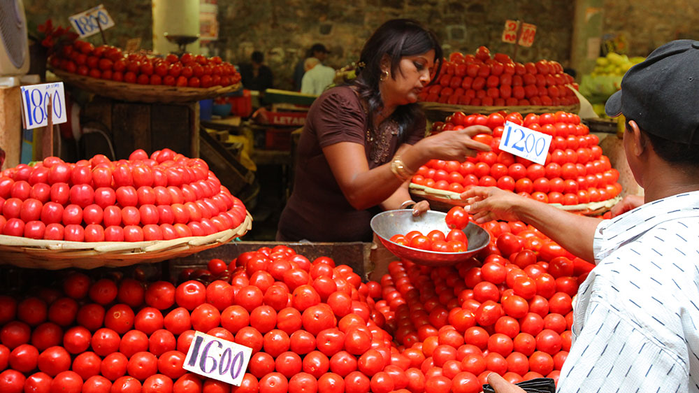 blauwasser_obst_gemuese_lagerung_tomaten