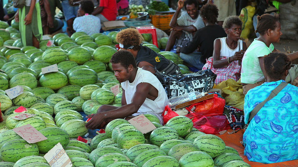 blauwasser_obst_gemuese_lagerung_wassermelone