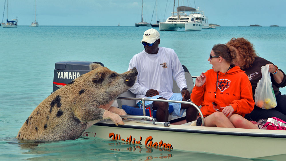 blauwasser_online_seminar_bahamas_ueberblick_3