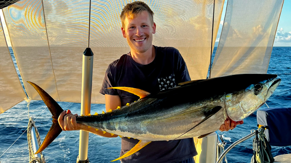 blauwasser_online_weltumsegelung_beluga_fisch