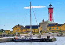 Online-Seminar: Ostsee-Seminar (ganztägig/live)