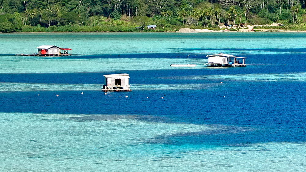blauwasser_pazifik_polynesien_gambier_farmen