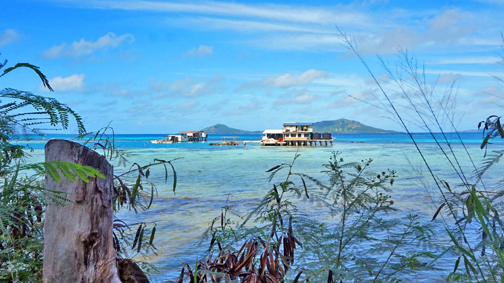 blauwasser_pazifik_polynesien_gambier_perlen